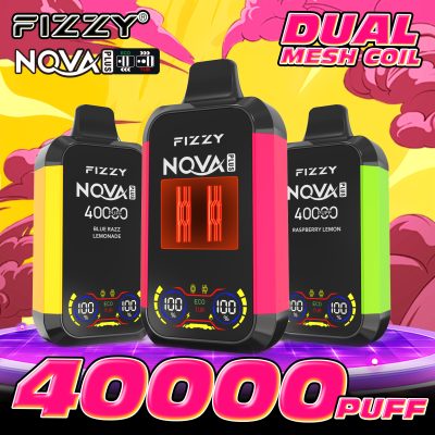 Fizzy Nova Plus 40000 Puffs Berry Zesty Blast 6-Flavor Bundle – 6pcs